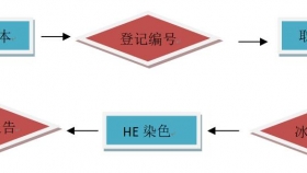 【泉一有普】術(shù)中冰凍病理：實時診療的導航明燈