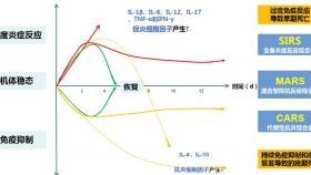 【泉一有普】揭秘免疫細(xì)胞的“溝通密碼”丨細(xì)胞因子