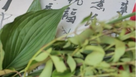 【泉一文化】“多彩端午，有‘艾’有趣”丨院工會舉辦端午節(jié)活動