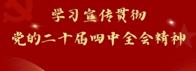 學(xué)習(xí)宣傳貫徹黨的二十屆四中全會精神